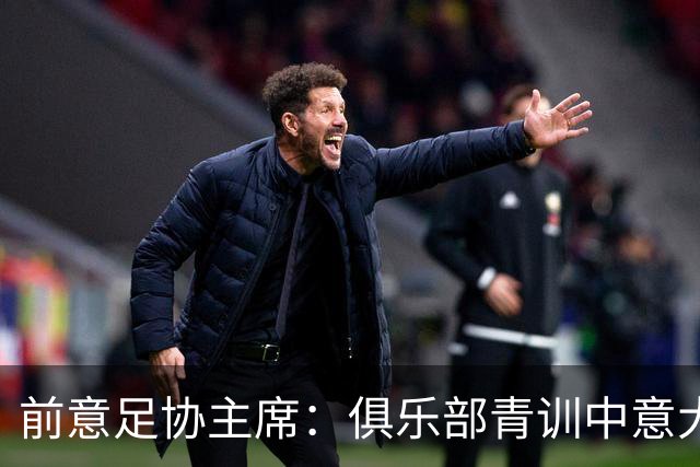 前意足协主席：俱乐部青训中意大利人只有30% 意大利本该进世界杯